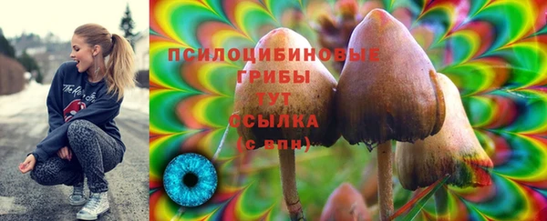 2c-b Абаза
