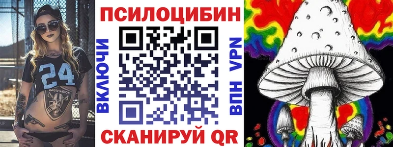 где можно купить наркотик Касли Псилоцибиновые грибы GOLDEN TEACHER
